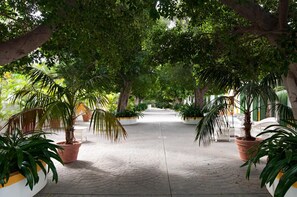 Property grounds