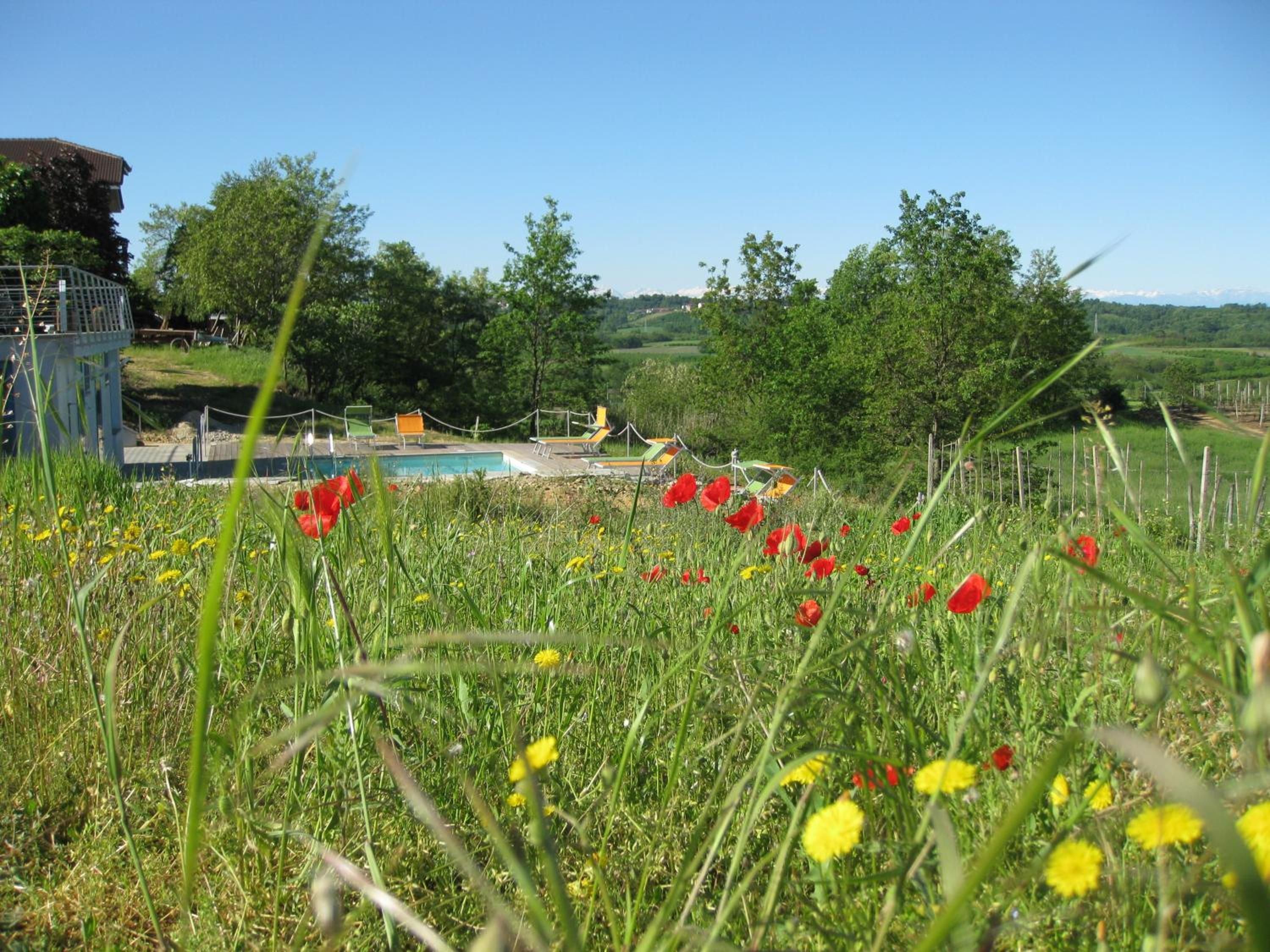 Una piscina envoltada d'una zona verda amb flors vermelles i grogues, arbres i un cel serè.