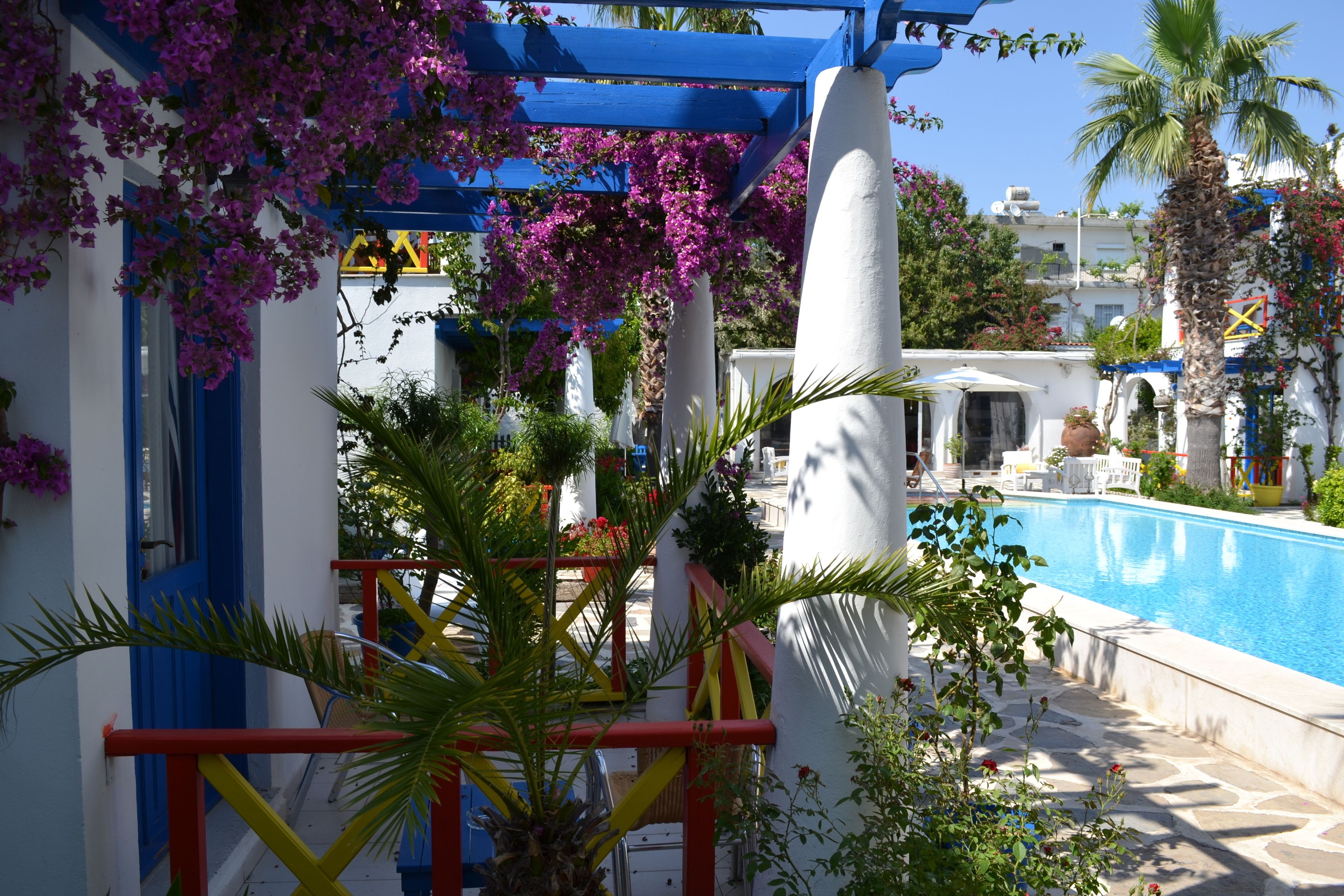 A pool area with a blue and white structure, surrounded by plants and a palm tree.