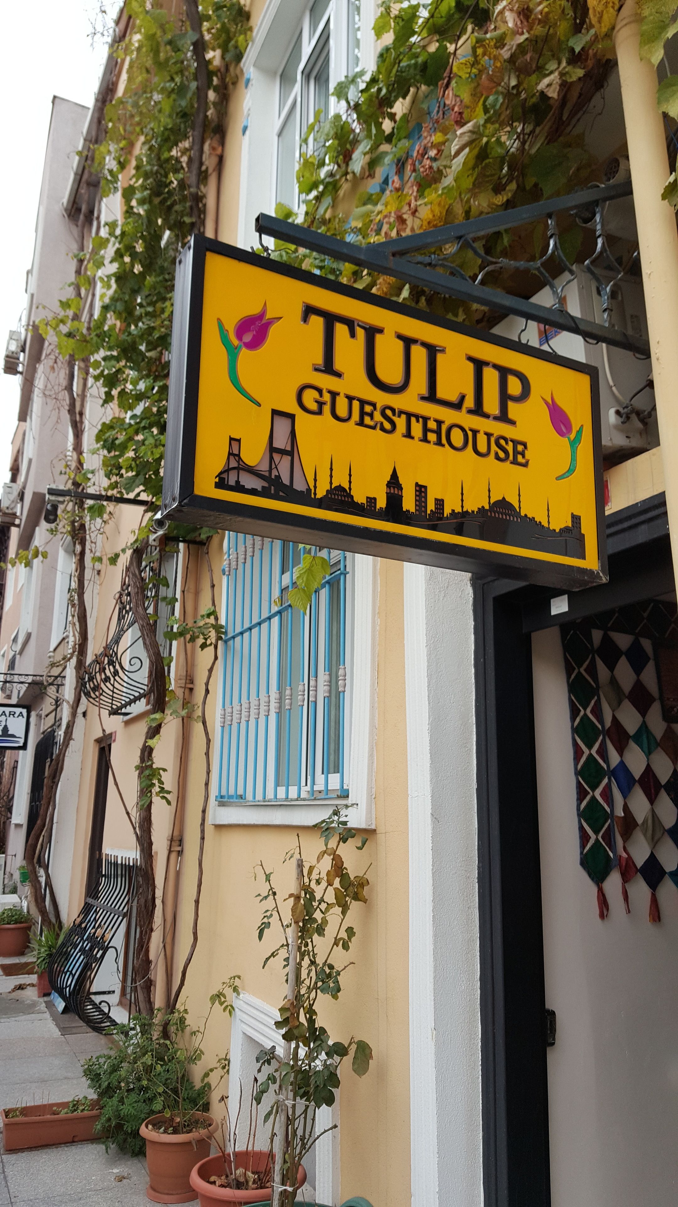 Photo - Tulip Guesthouse