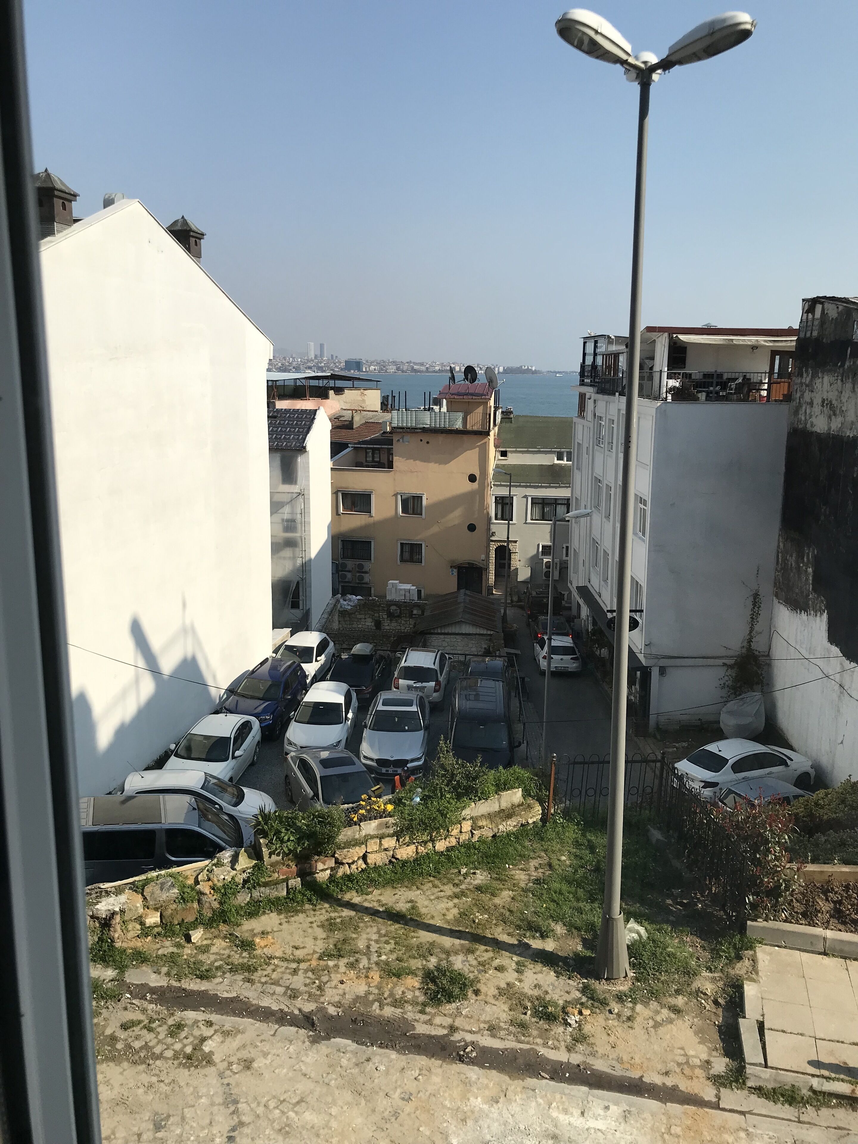 Photo - Tulip Guesthouse