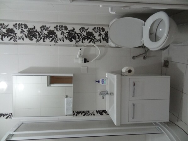 Un baño con inodoro, lavamanos y espejo.