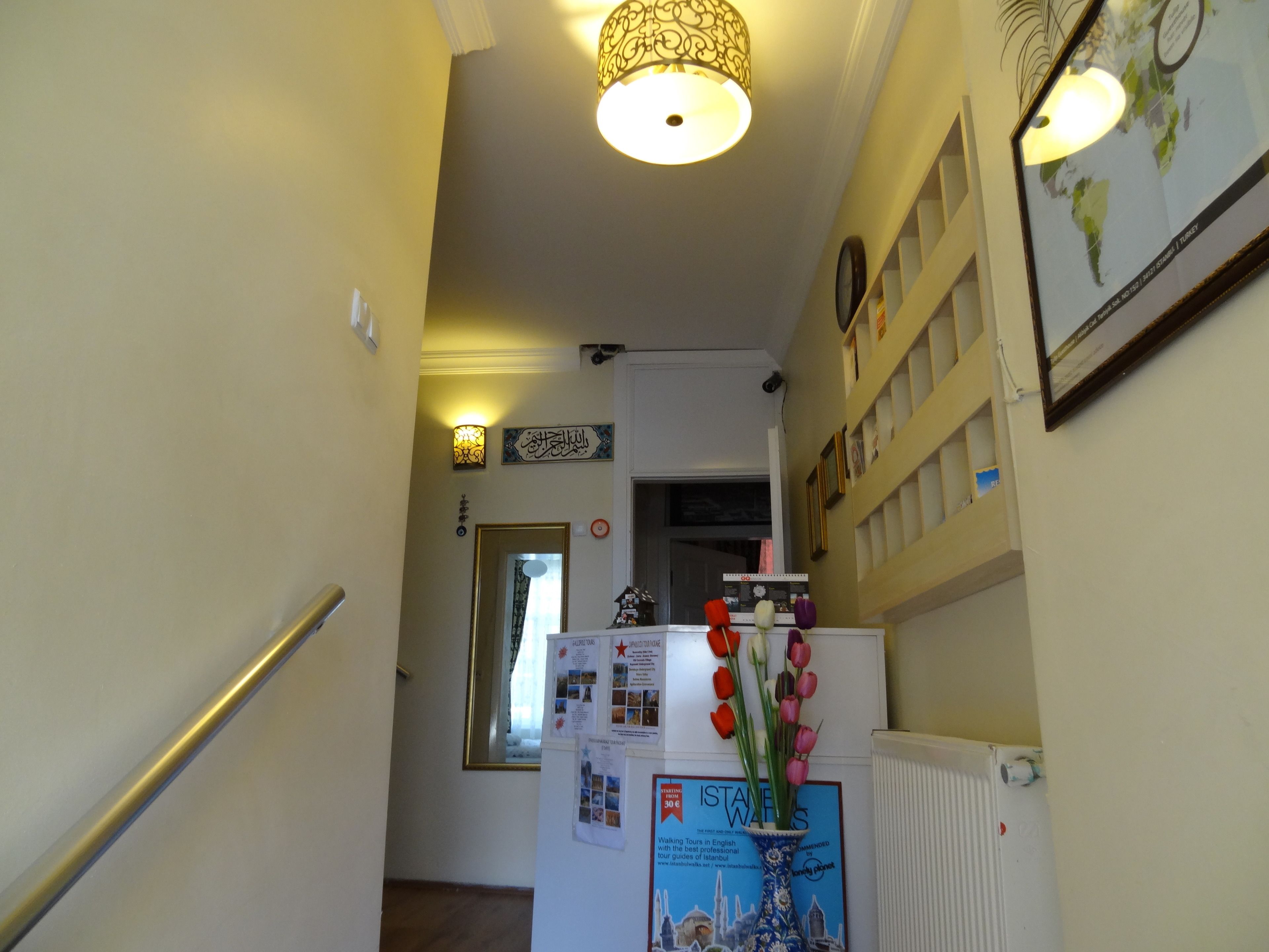 Photo - Tulip Guesthouse