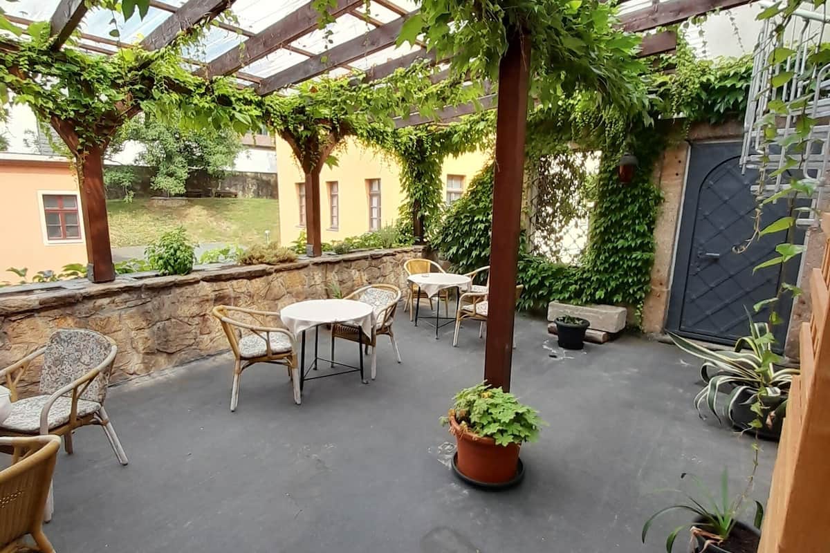 standard double room, non smoking | terrace/patio