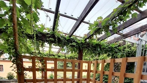 A wooden bench with a lattice backrest, surrounded by greenery, under a glass roof structure.