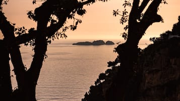 Vista de un atardecer costero enmarcada por ramas de árboles, con una isla distante y acantilados rocosos.