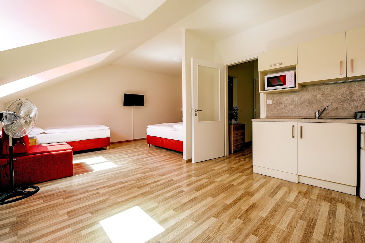 A compact room with a kitchenette, two beds, a TV, and a fan.