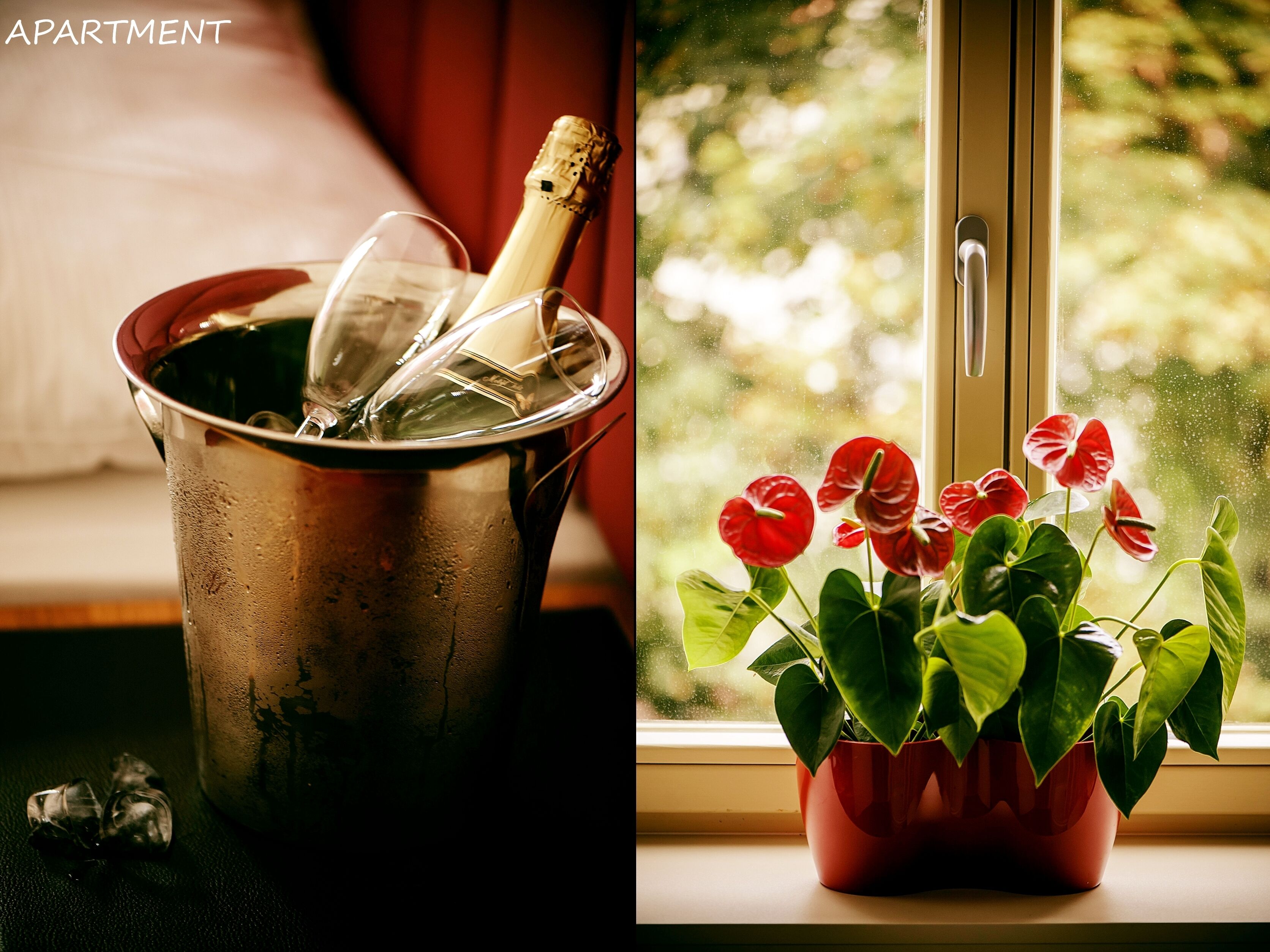 Foto - Hotel Otakar