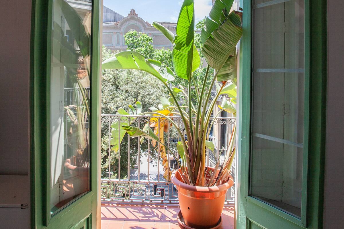 Une pièce avec une porte verte donnant sur un balcon où se trouve un pot de fleurs.
