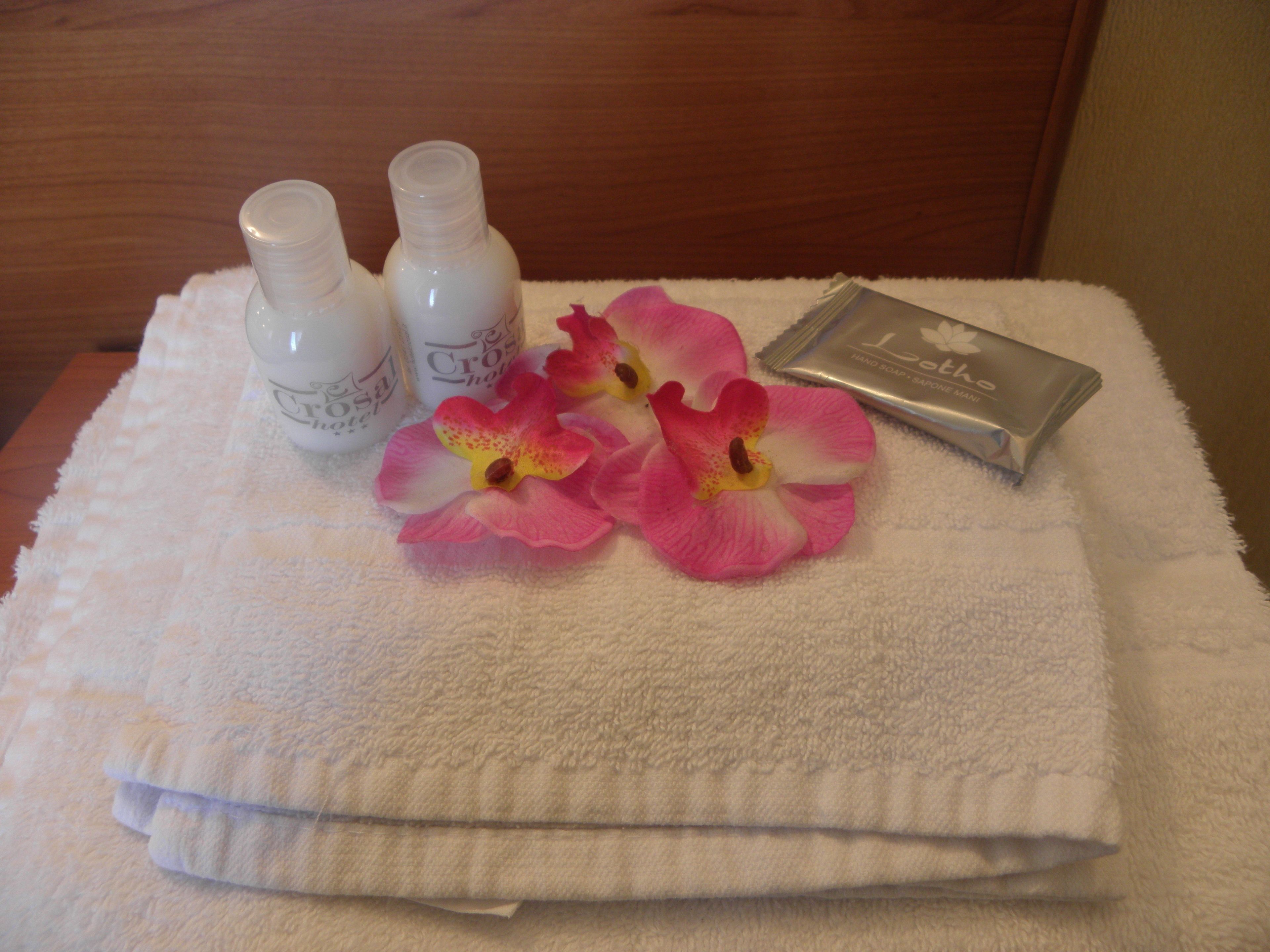 Shower, free toiletries, hair dryer, bidet