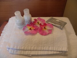 Doccia, set di cortesia gratuito, asciugacapelli, bidet