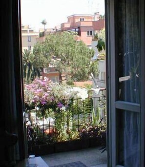 View from room