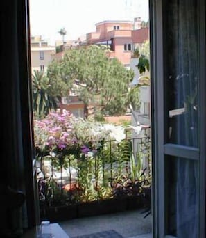 View from room