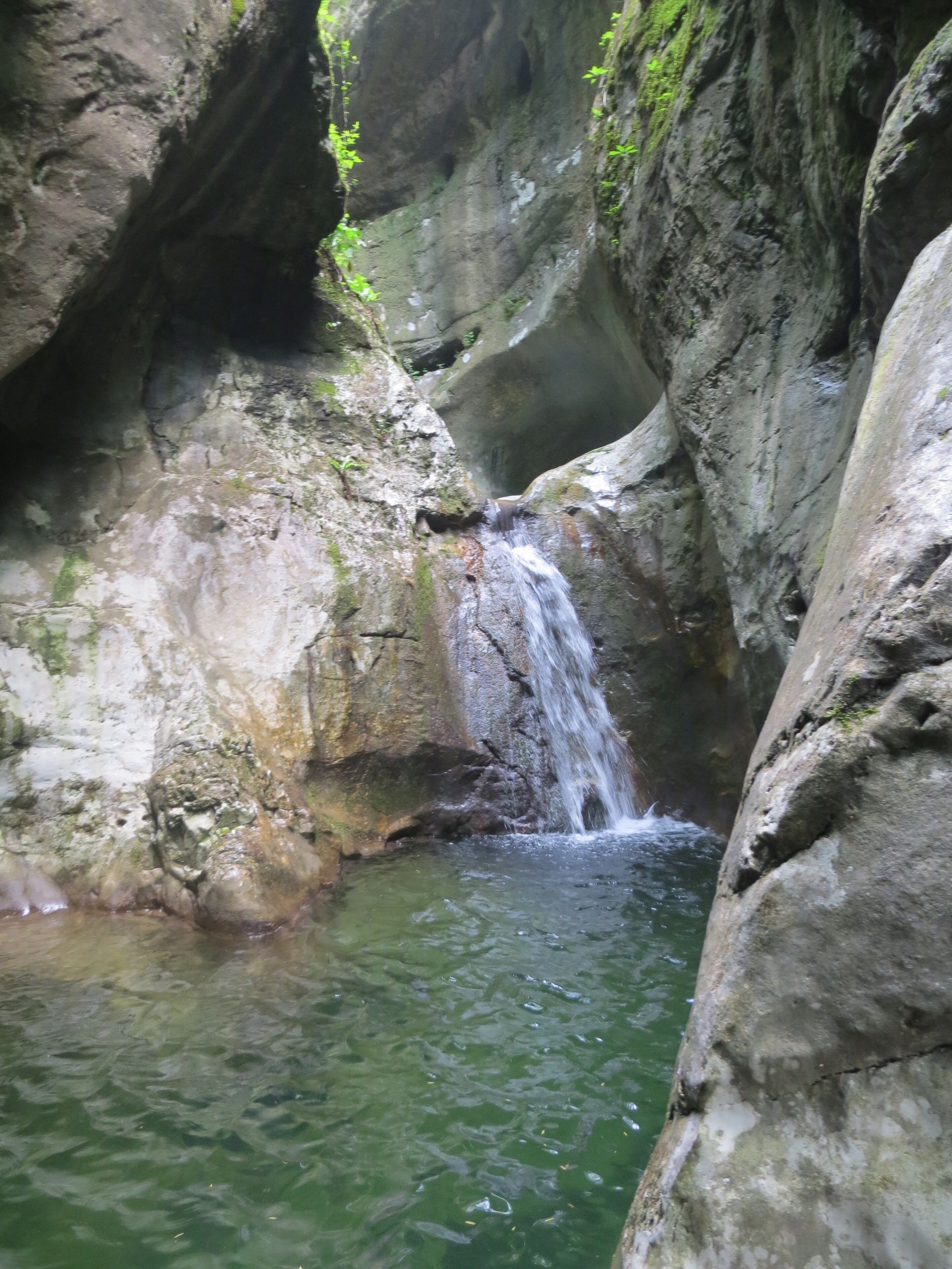 children’s activities