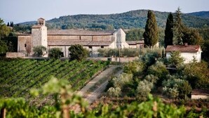 Un vignoble avec des rangées de vignes et un bâtiment doté d’un toit en tuiles.