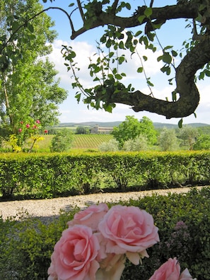 Garden - Tenuta di Corsano (Monteroni d'Arbia)