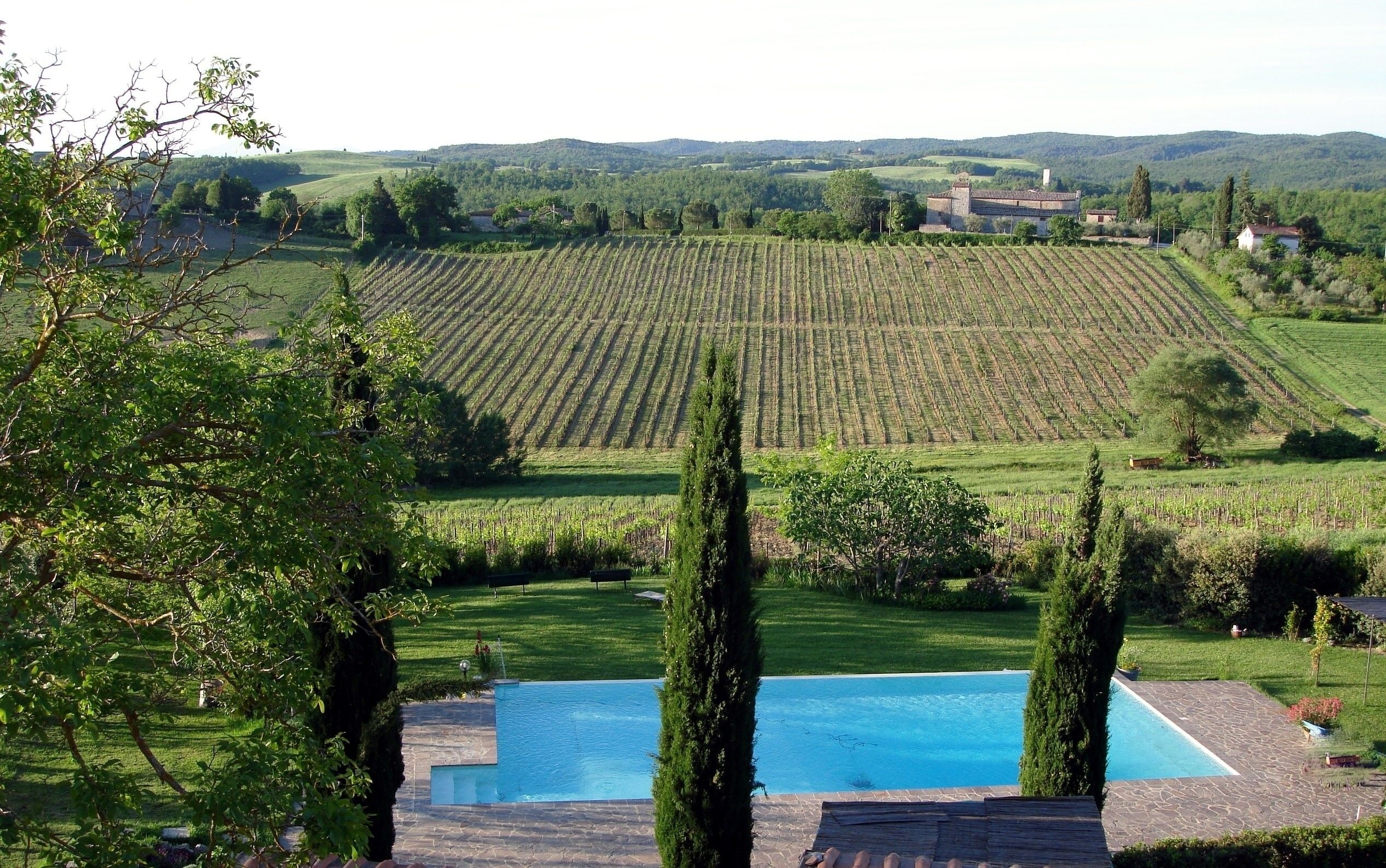 Viñedo con hileras de vides, una piscina y un edificio de piedra al fondo.
