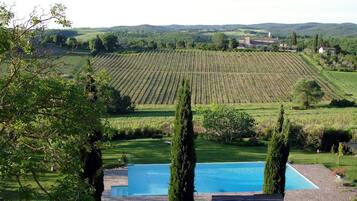 Viñedo con hileras de vides, una piscina y un edificio de piedra al fondo.