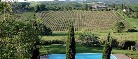 Viñedo con hileras de vides, una piscina y un edificio de piedra al fondo.