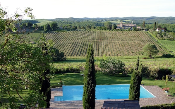 A vineyard with rows of grapevines, a swimming pool, and a stone building in the background.