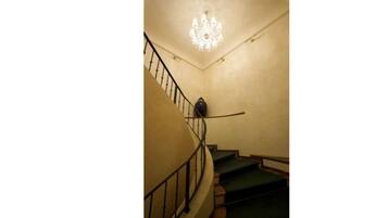 Eine Treppe mit geschwungenem Design, eine Chandelier und eine Vase an der Wand.