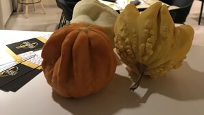 A dining area with a table set for two, a decorative pumpkin, and a unique yellow plant. - Hotel Le Grazie (Assisi)