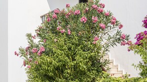 Un edificio blanco con una pequeña ventana y una puerta, rodeado de exuberante follaje y flores rosadas.