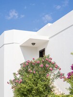 Detalle del exterior