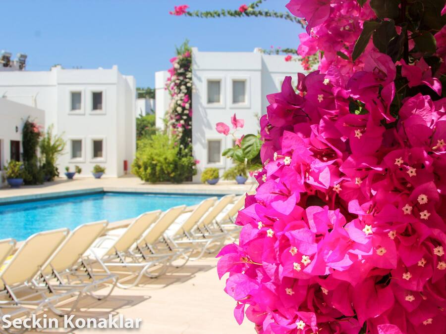 Piscine extérieure (ouverte en saison), chaises longues