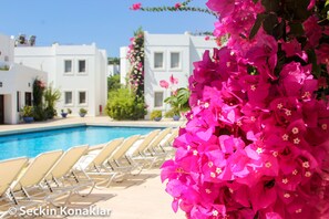 A poolside area with white buildings, a row of beige sun loungers, and vibrant pink bougainvillea flowers. - Seçkin Konaklar (Bodrum)