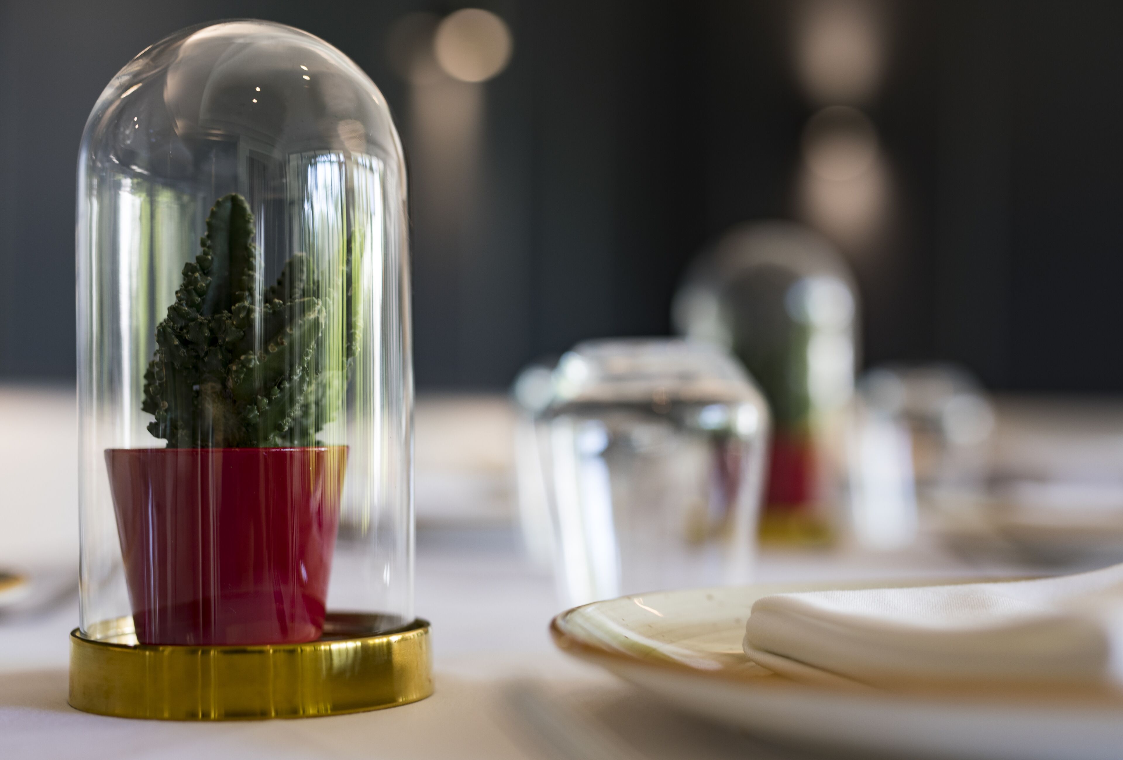 Foto - Hotel Karia Princess