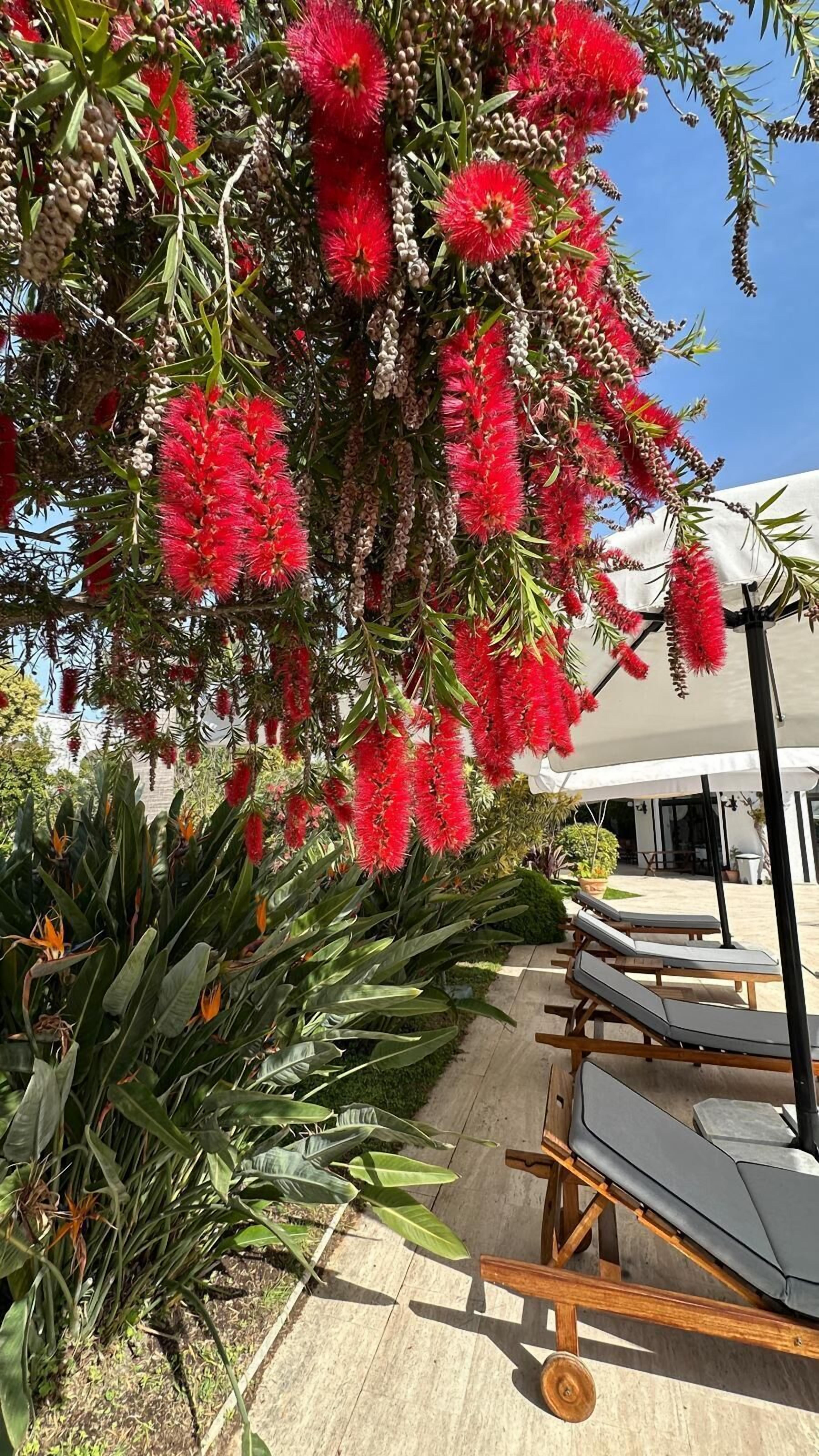 Foto - Hotel Karia Princess