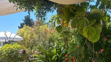 Tägliches inbegriffenes Frühstücksbuffet