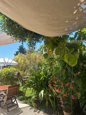 Un patio al aire libre con una mesa y sillas de madera, rodeado de abundante vegetación y plantas en flor.