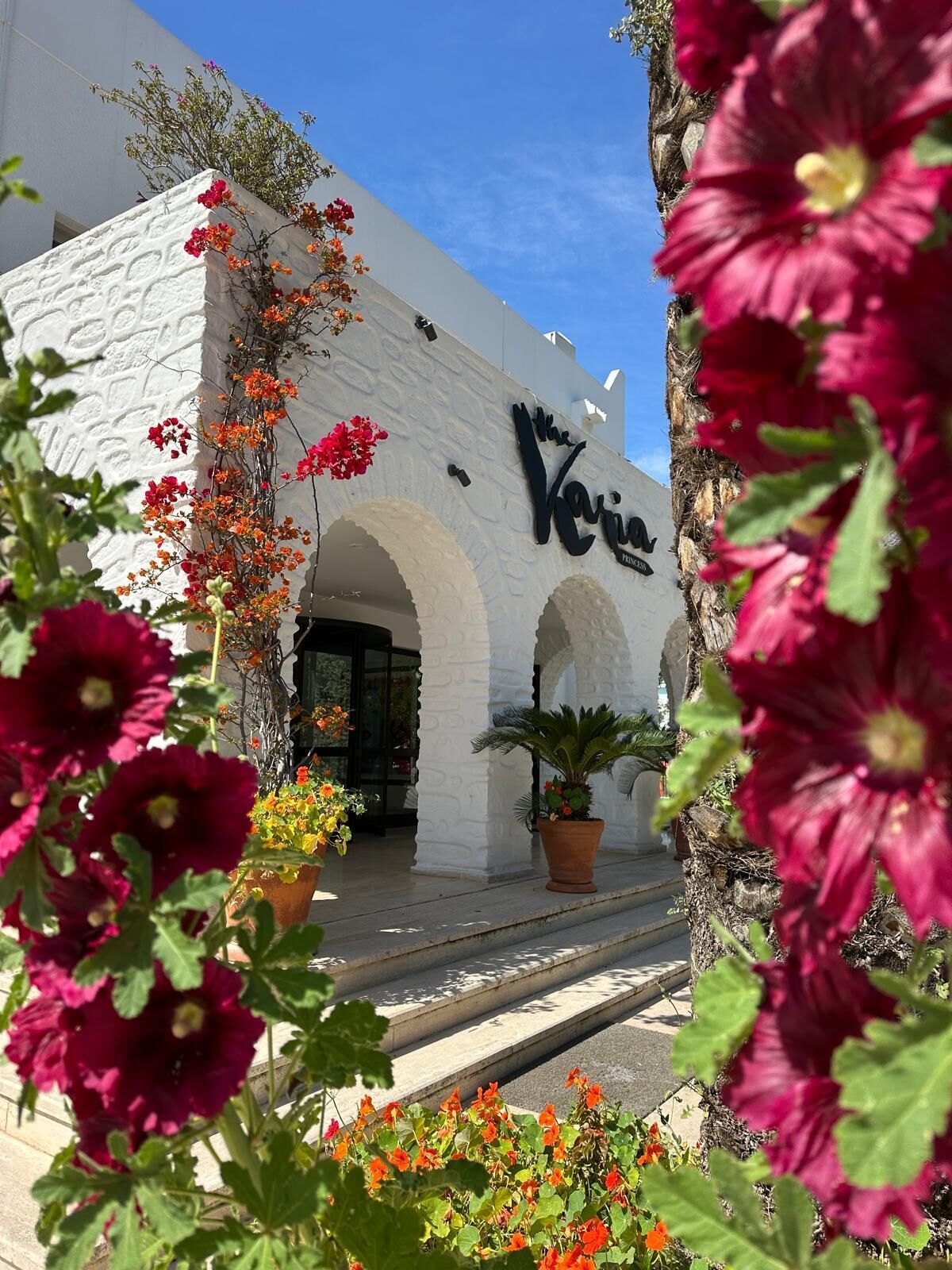 Dış mekân