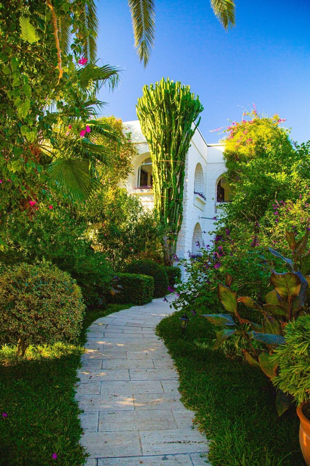 Foto - Hotel Karia Princess