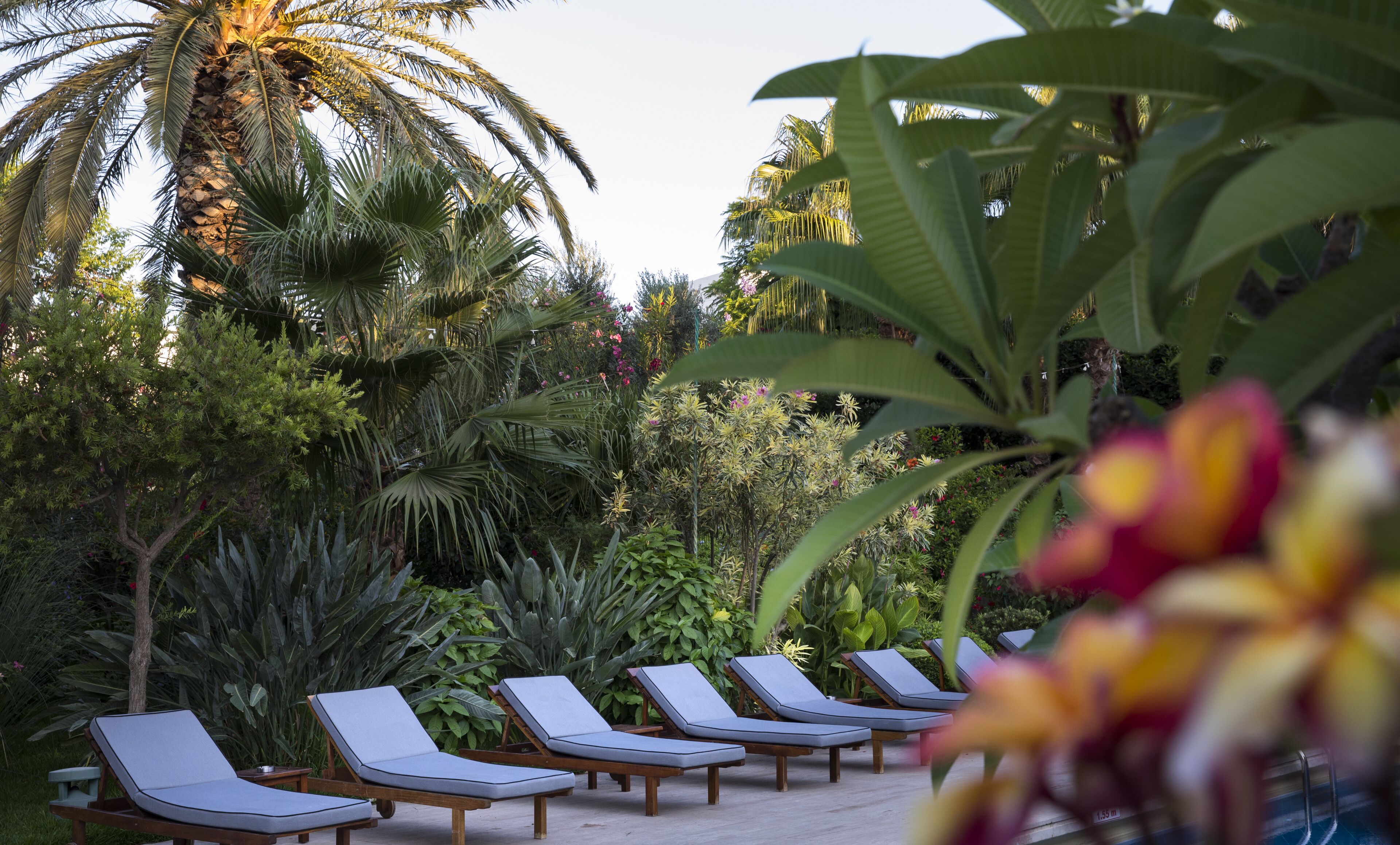 Foto - Hotel Karia Princess