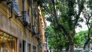A wet cobblestone street lined with buildings, a café on the left, and trees on the right. - Sardinia Domus (Cagliari)