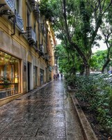 Una strada acciottolata bagnata fiancheggiata da edifici, con un caffè a sinistra e alberi a destra.