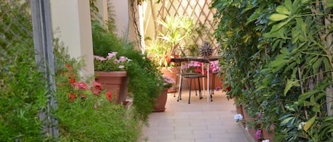 Terras