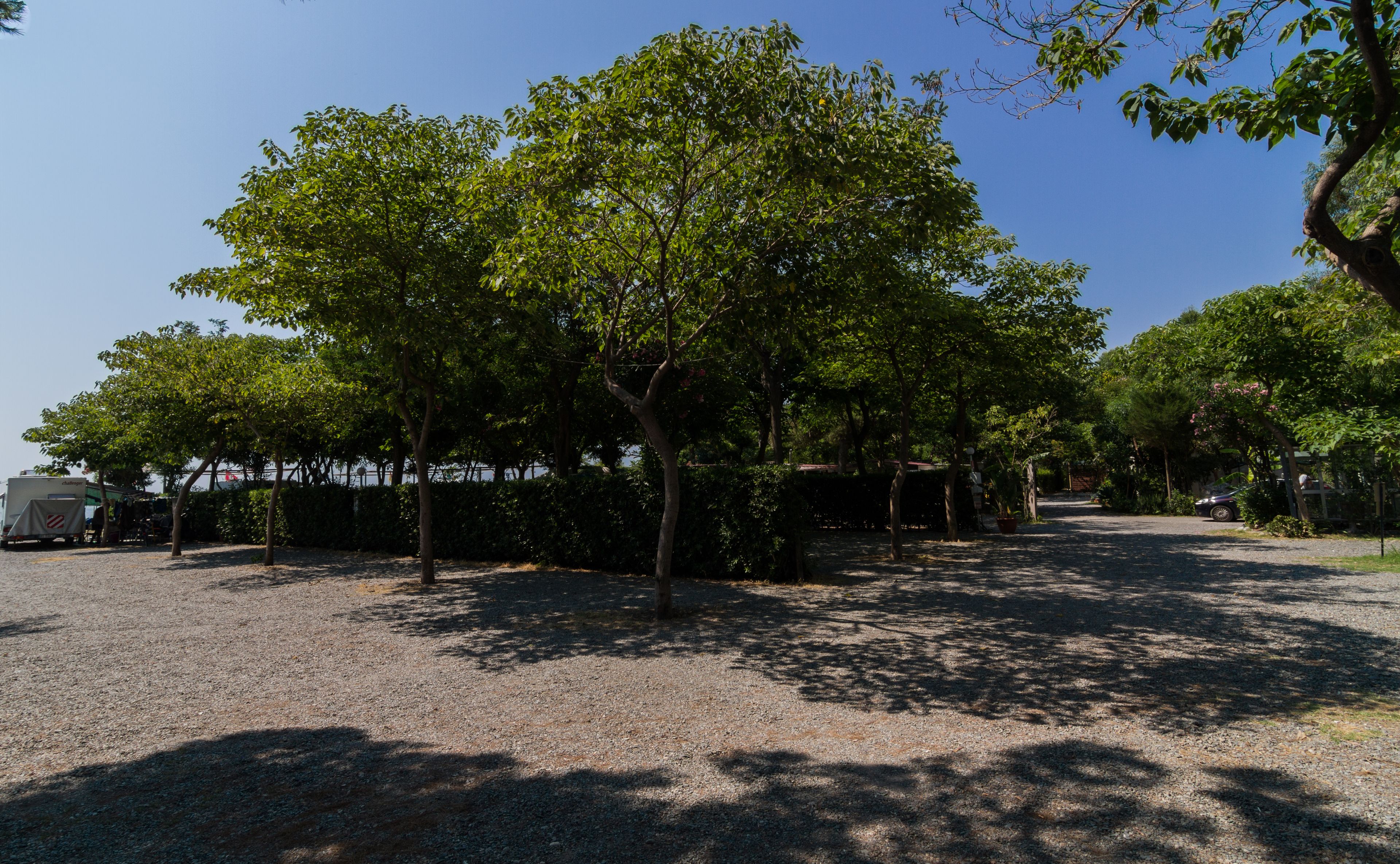 A gravel parking area with trees and a white RV.
