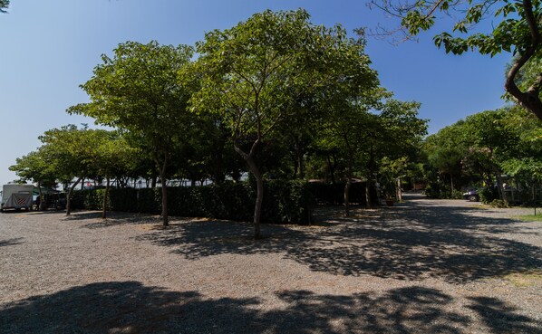 A gravel parking area with trees and a white RV.