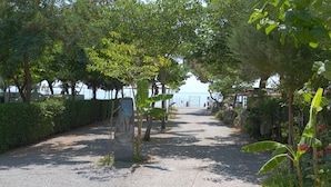 Een pad, omzoomd met bomen en struiken, leidt naar een strand.