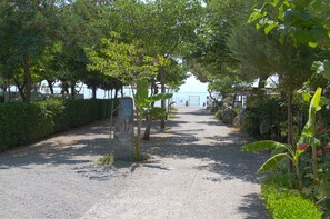 Garden - Camping La Focetta Sicula (Sant'Alessio Siculo)