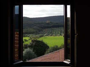 Classic Double Room | View from room - Tenuta Uccellina (Magliano in Toscana)