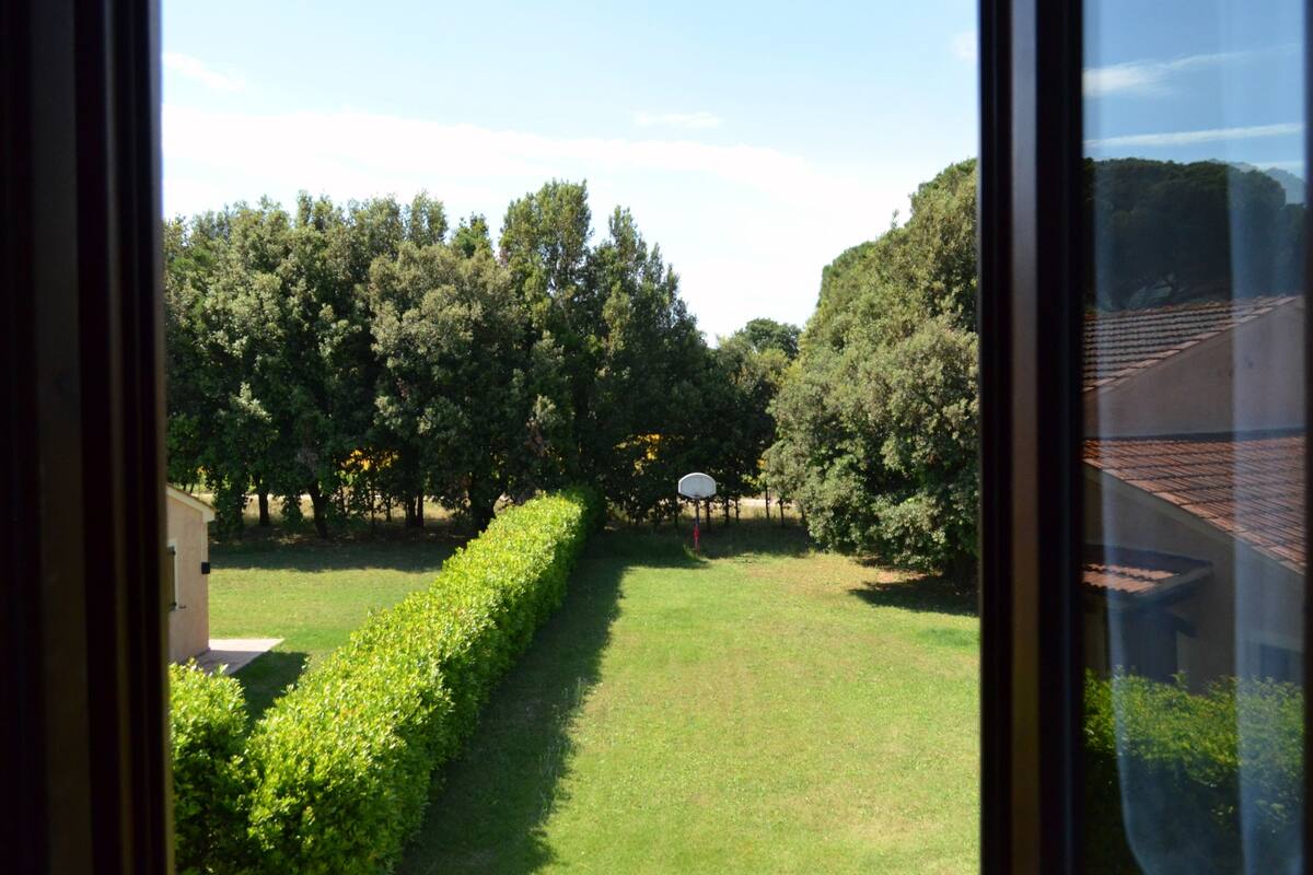 A view of a well-maintained garden with a basketball hoop, neatly trimmed hedges, and a variety of trees.