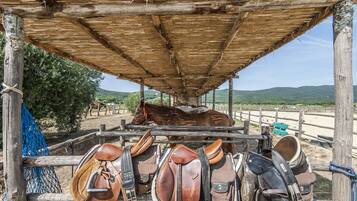 A stable with a wooden roof and a horse inside. There are saddles and bridles hanging on the wall.