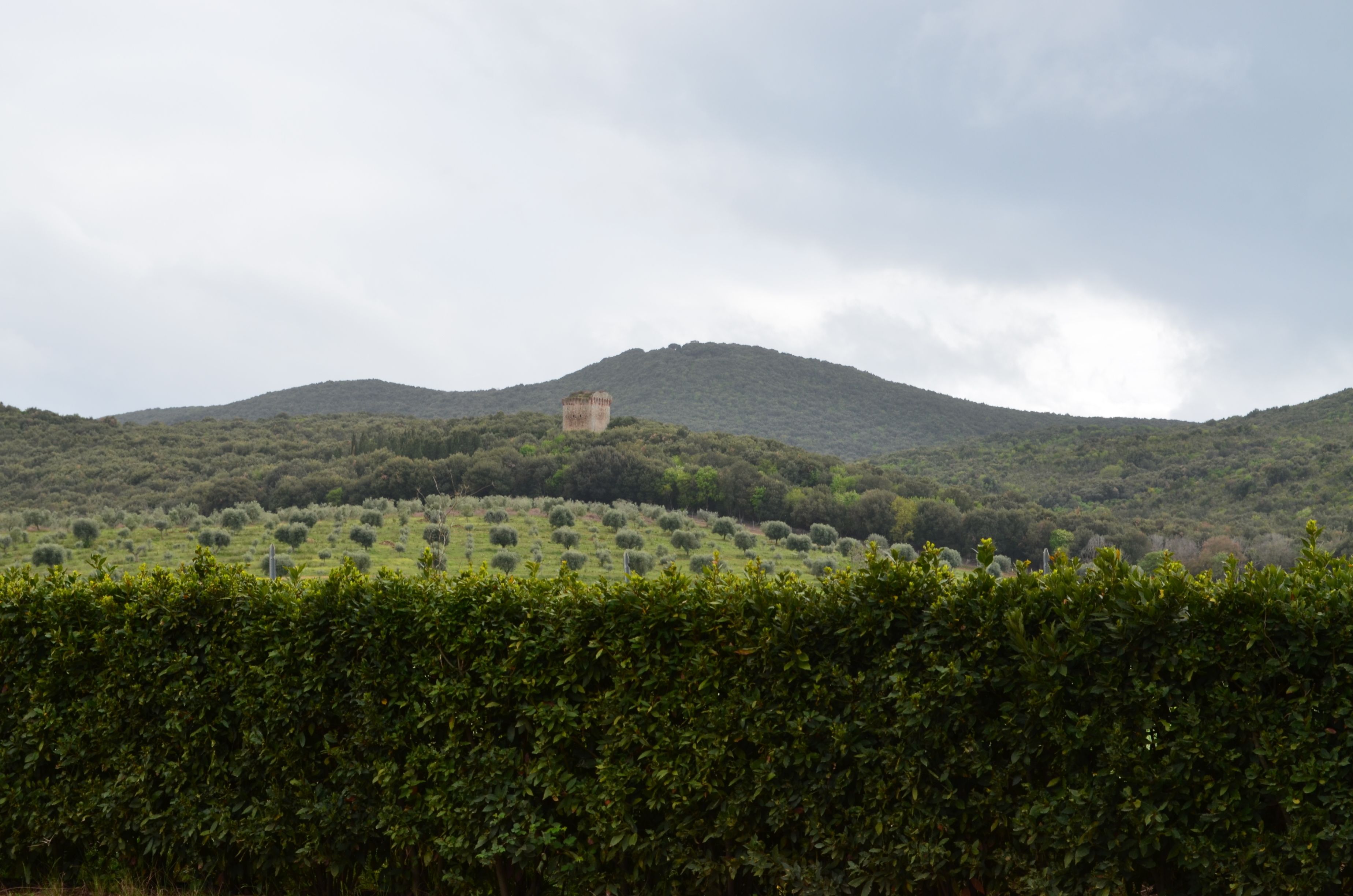 A landscape with a hill and a building on top.