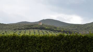 A landscape with a hill and a building on top.