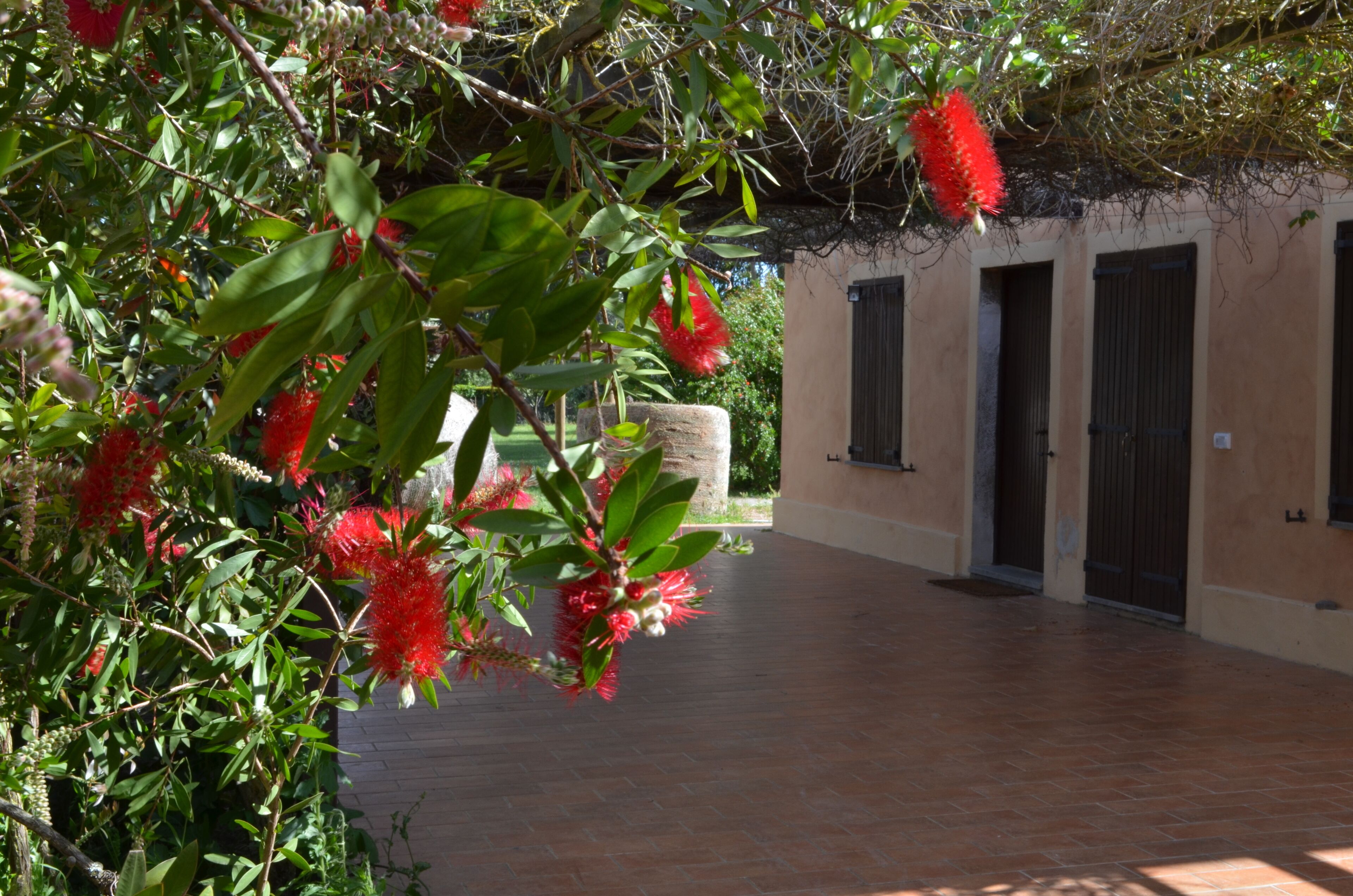 Matrimoniale Standard, accessibile ai disabili | Vista dalla camera